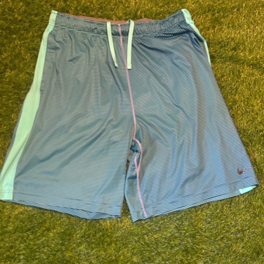 Men's Nike Blue Striped Shorts XL